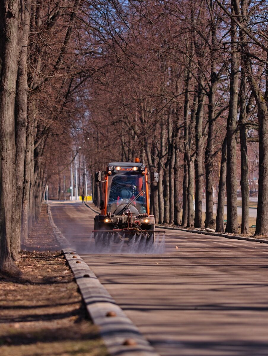 yellow and black heavy equipment on road between bare trees during daytime